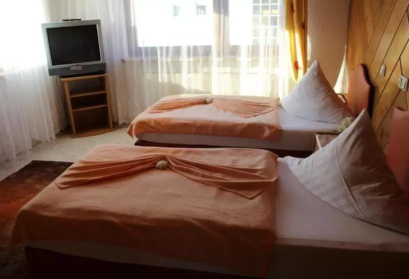 Top Hotel Edingen