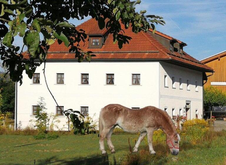 Отель Ferienhof Aiginger