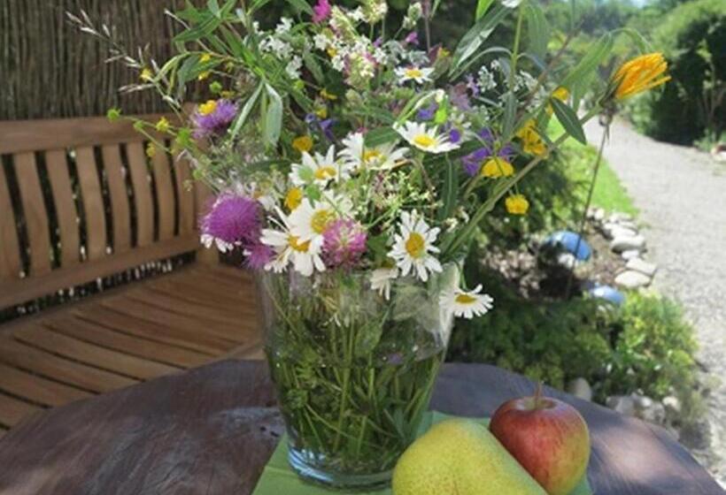 פנסיון Gästehaus Schmid