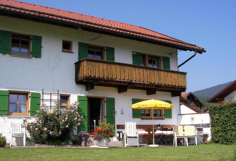 פנסיון Gästehaus Attenhauser