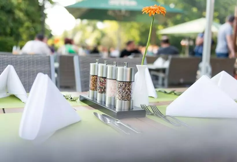 Majatalo Haus Am Park  Ihr Gästehaus In Velbert