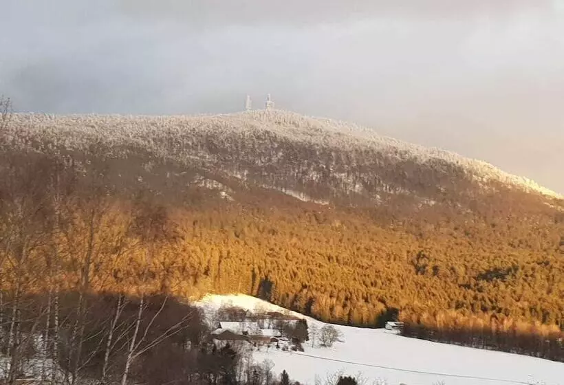 Pension / Ferienwohnungen Ludwig