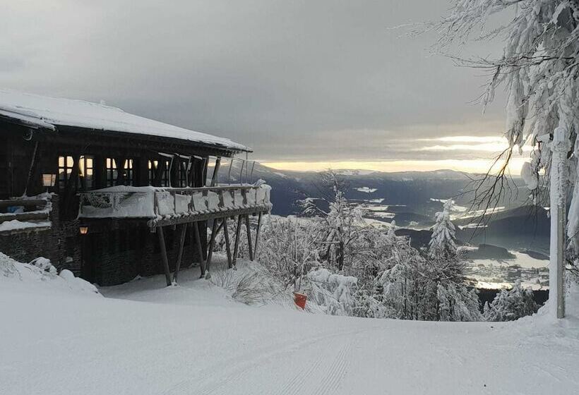 Pension / Ferienwohnungen Ludwig