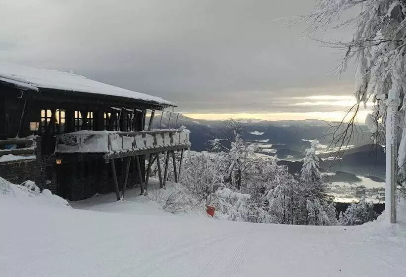 Pension / Ferienwohnungen Ludwig