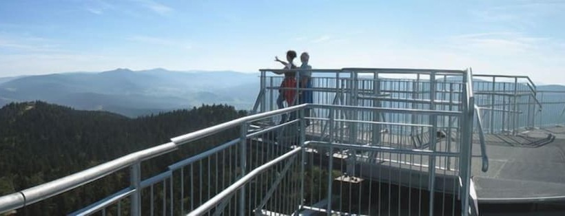 Pension / Ferienwohnungen Ludwig