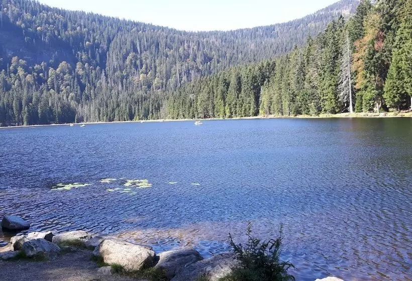 Pension / Ferienwohnungen Ludwig