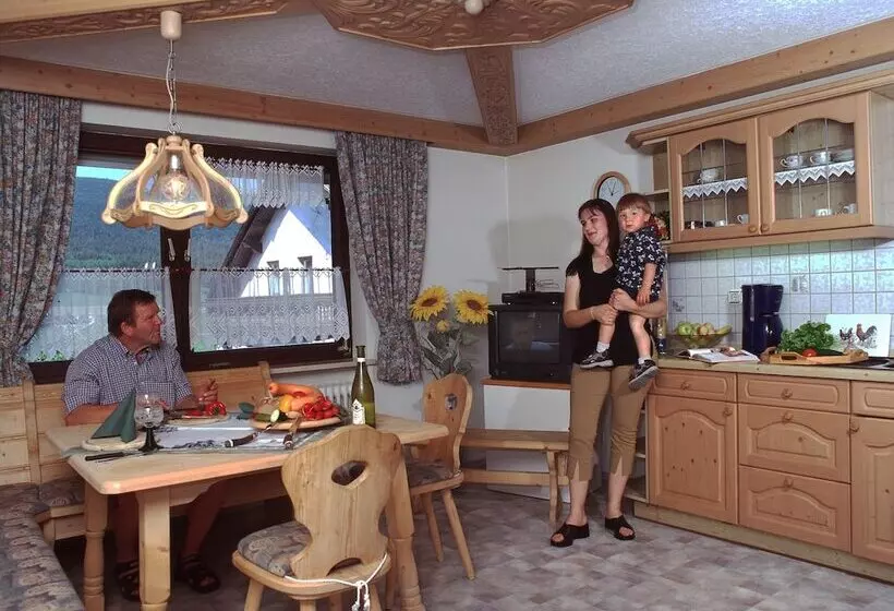 Pension / Ferienwohnungen Ludwig