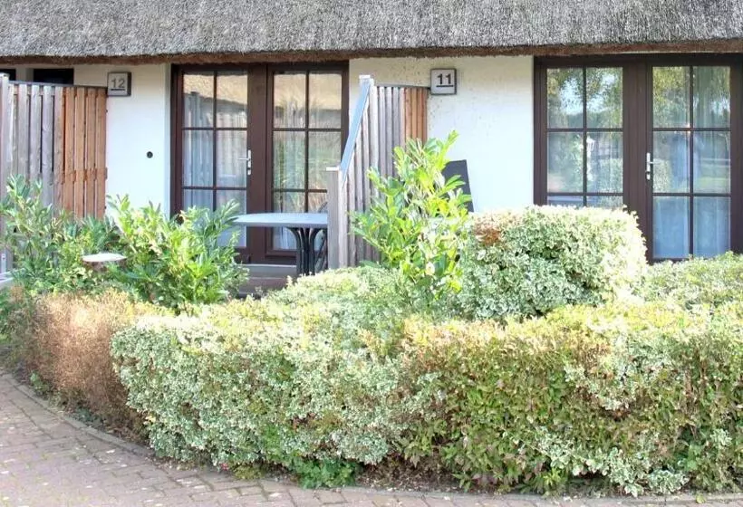 Mare Balticum Urlaub Auf Rügen