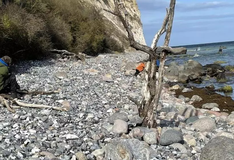 Mare Balticum Urlaub Auf Rügen