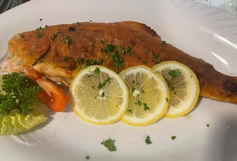 Majatalo Landgasthaus Zur Linde, Neusatz