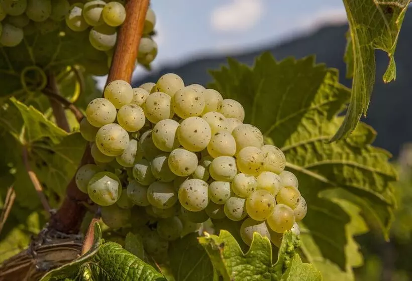 Majatalo Landgasthof Winzerscheune