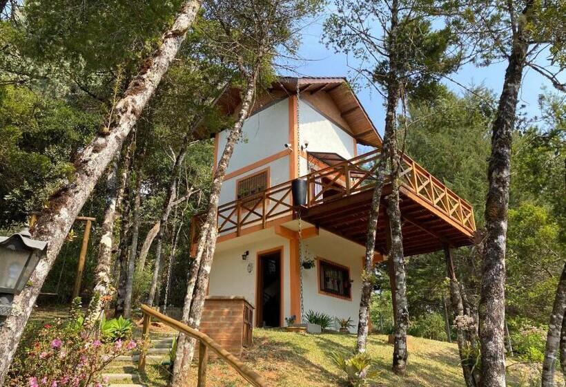 بنسيون Capricho Da Natureza Pousada