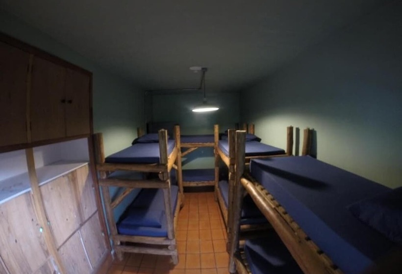 פנסיון Down The River Hostel