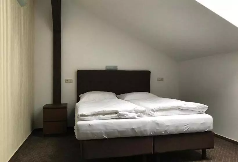 ペンション Penzión Karla Naj