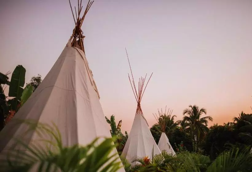 Resort Wigwam