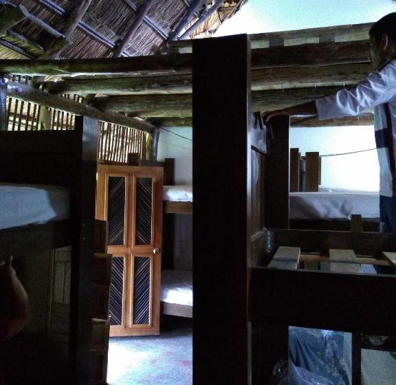 پانسیون Hostal Nibuni Palomino