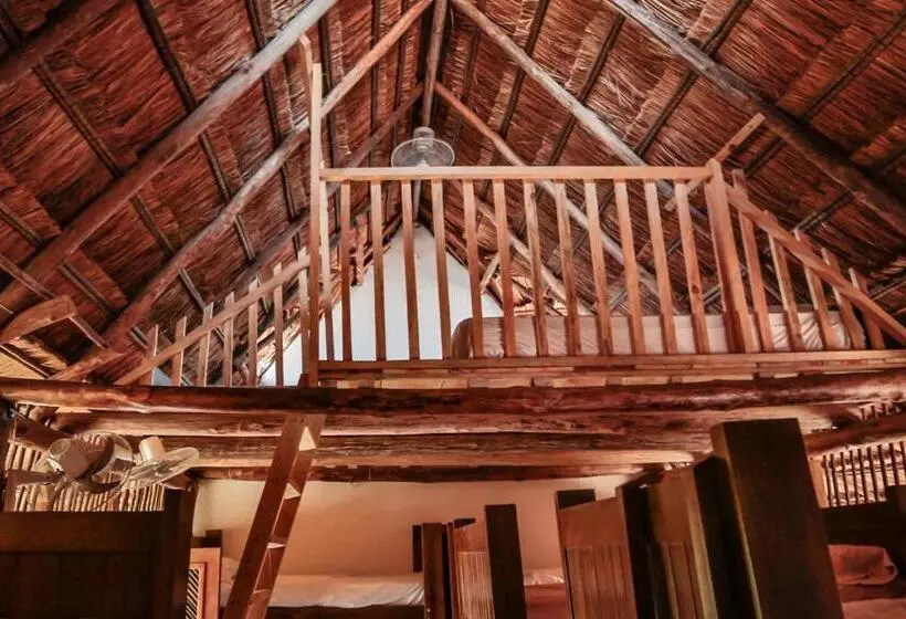 ペンション Hostal Nibuni Palomino