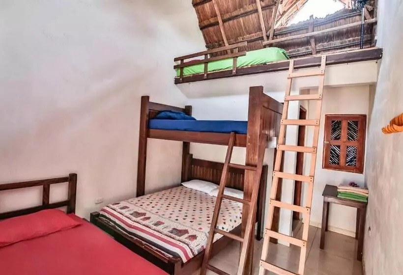 ペンション Hostal Nibuni Palomino