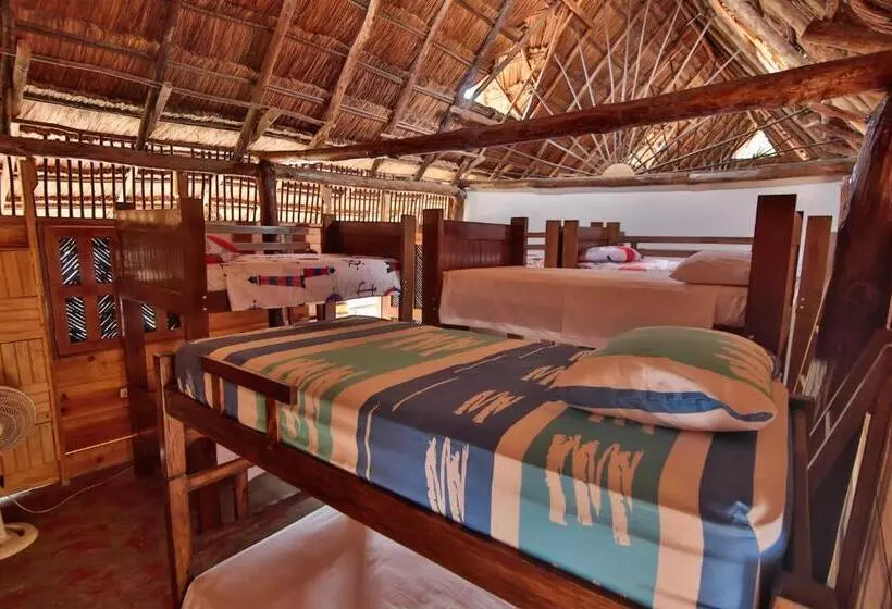 ペンション Hostal Nibuni Palomino