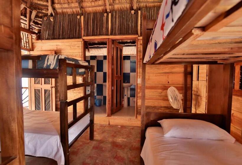 پانسیون Hostal Nibuni Palomino