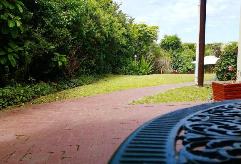 펜션 Swallows Nest Plett