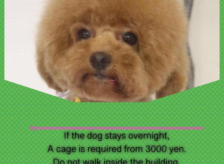 膳宿费 Hakone Villa