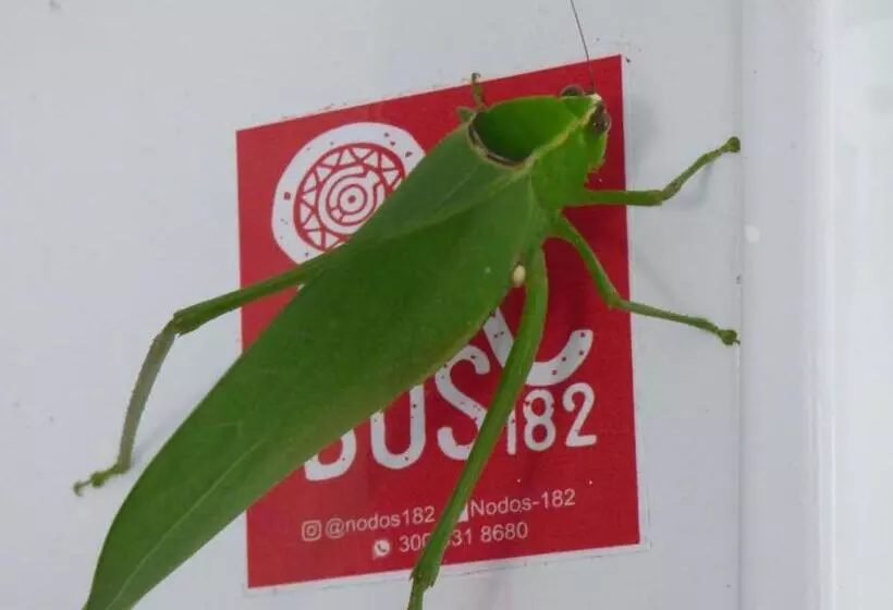 ペンション Hostal Alto De La Montaña