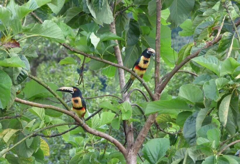 펜션 Hostal Alto De La Montaña