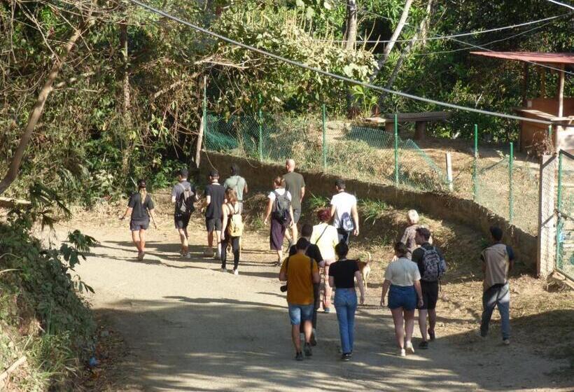 펜션 Hostal Alto De La Montaña