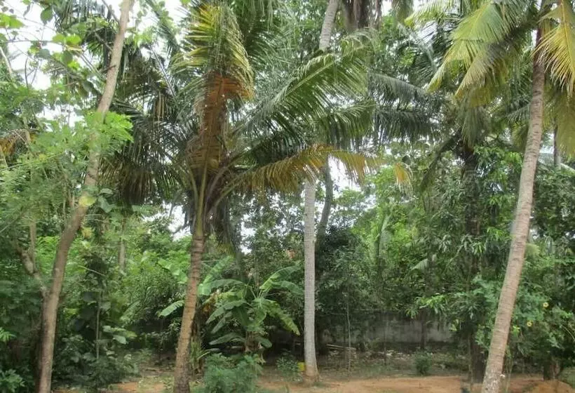 Majatalo Surfbayvilla