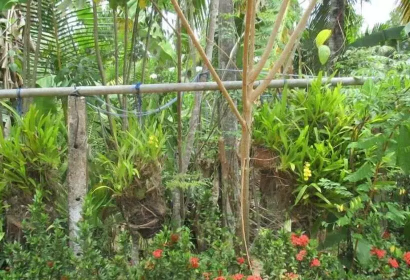 Majatalo Surfbayvilla