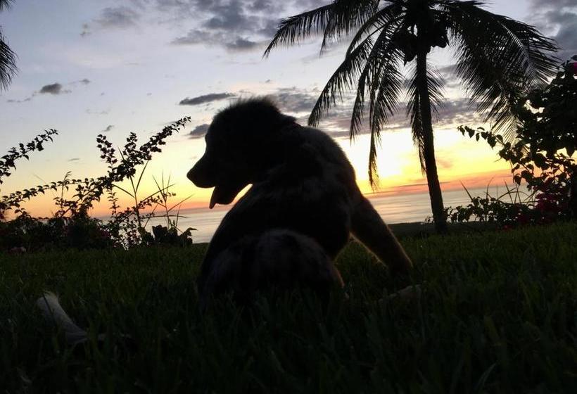 ベッドアンドブレックファースト Kona Bayview Inn