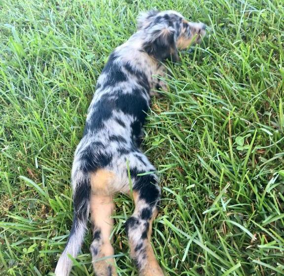 ベッドアンドブレックファースト Kona Bayview Inn