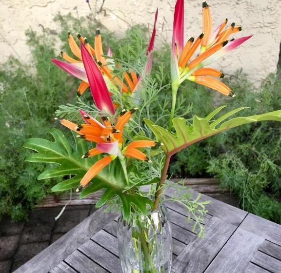 ベッドアンドブレックファースト Kona Bayview Inn