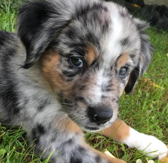 ベッドアンドブレックファースト Kona Bayview Inn