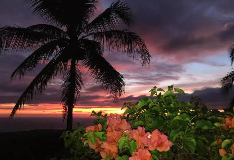 Aamiaismajoitus (B&B) Kona Bayview Inn