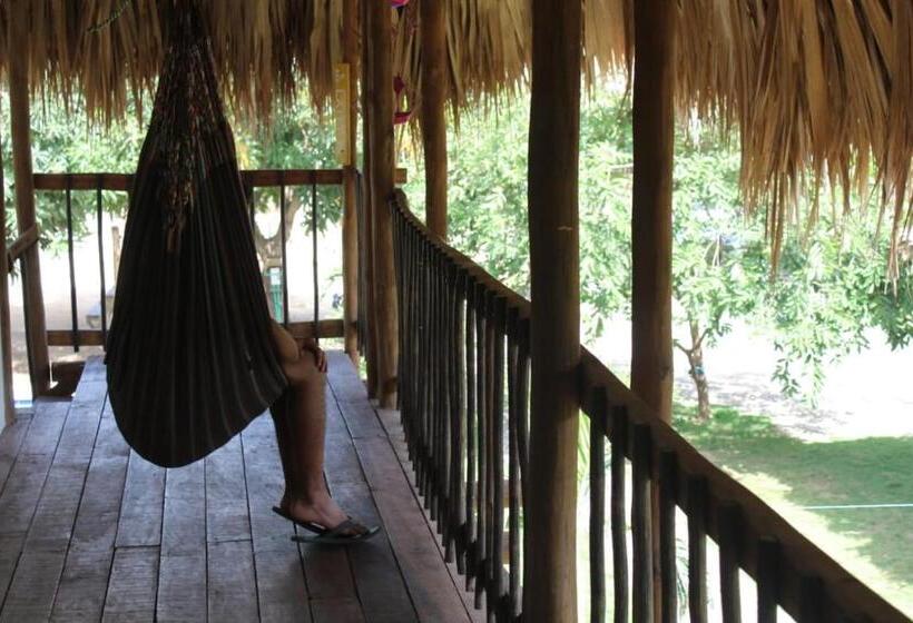 پانسیون Bao Bao Hostel