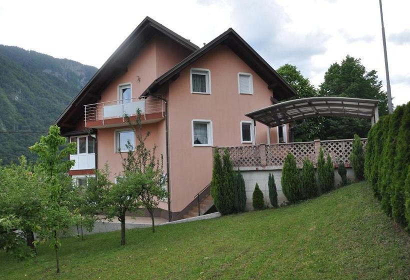 پانسیون Rezidenca Ervin