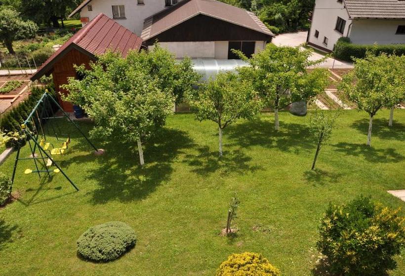 پانسیون Rezidenca Ervin