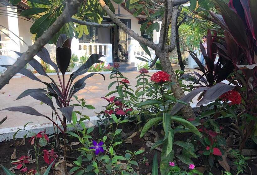 فندق God S Gift Morjim