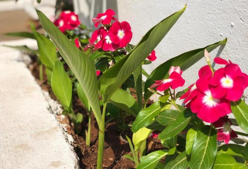 فندق God S Gift Morjim