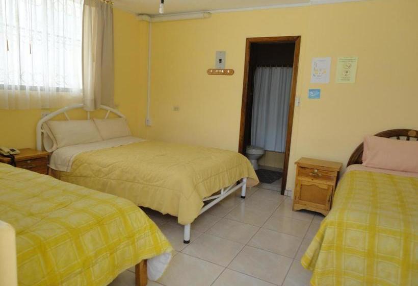 פנסיון Hostal El Sol De Cayambe