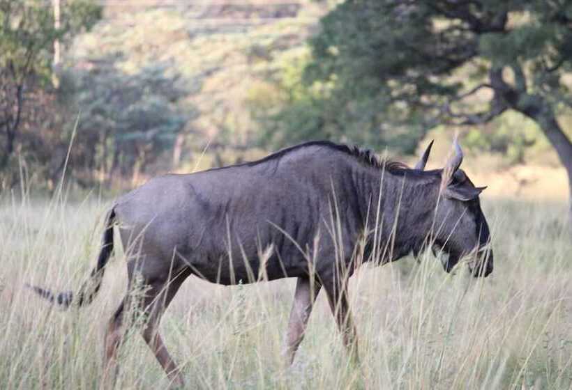 פנסיון La Barune Game Lodge