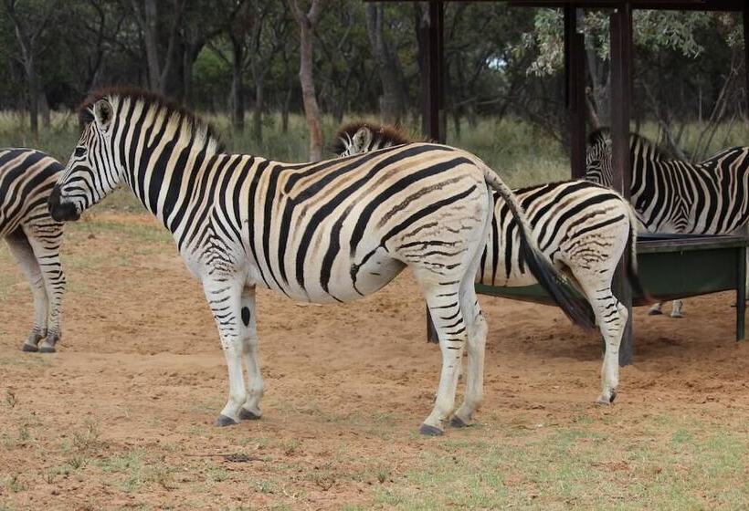 פנסיון La Barune Game Lodge