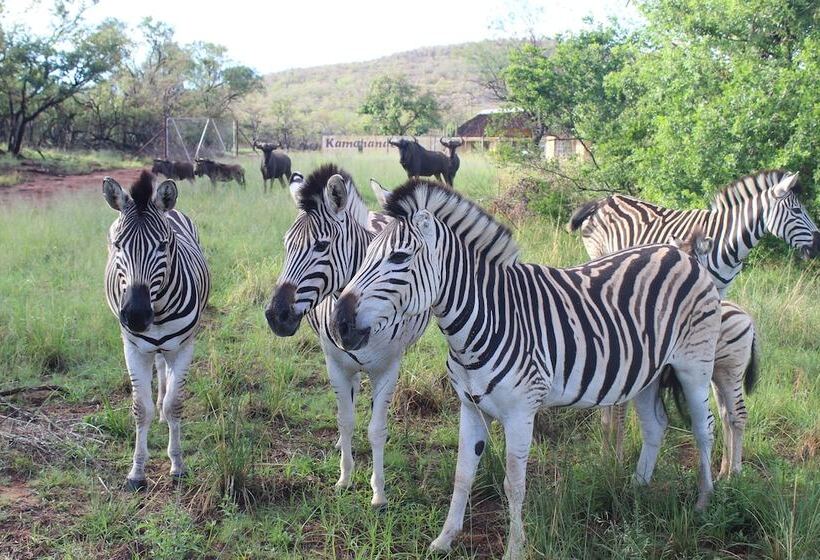פנסיון La Barune Game Lodge