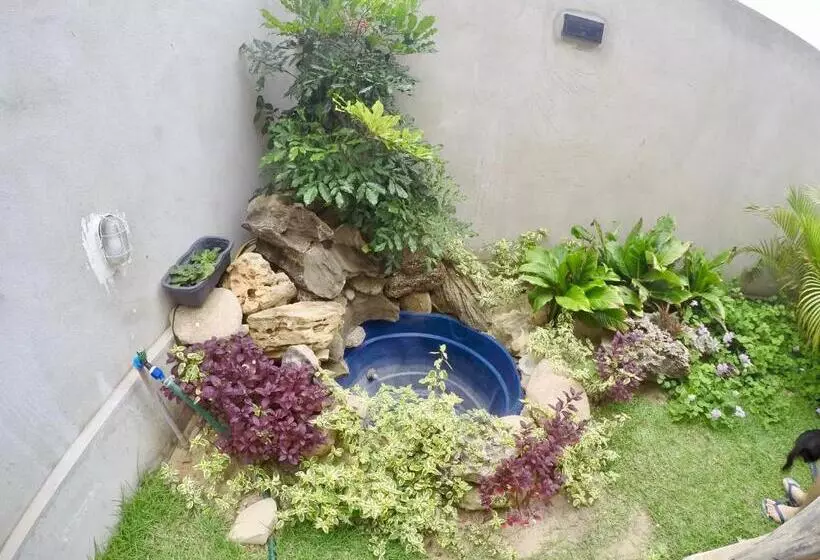 ペンション Pousada Pedra Da Baleia