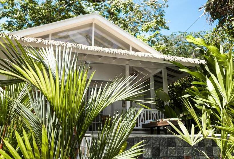 酒店 Aguas Claras Member Of The Cayuga Collection