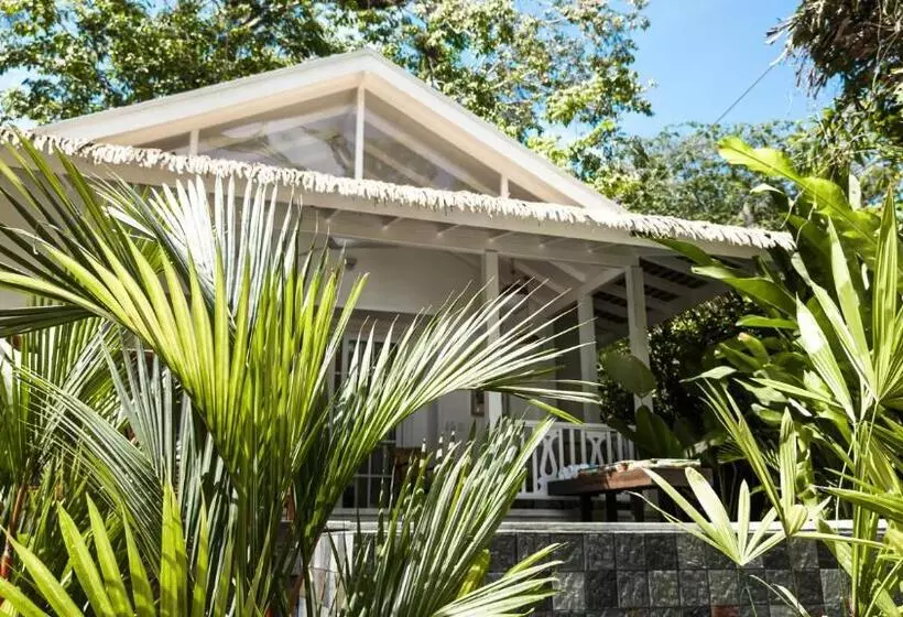 Hotelli Aguas Claras Member Of The Cayuga Collection