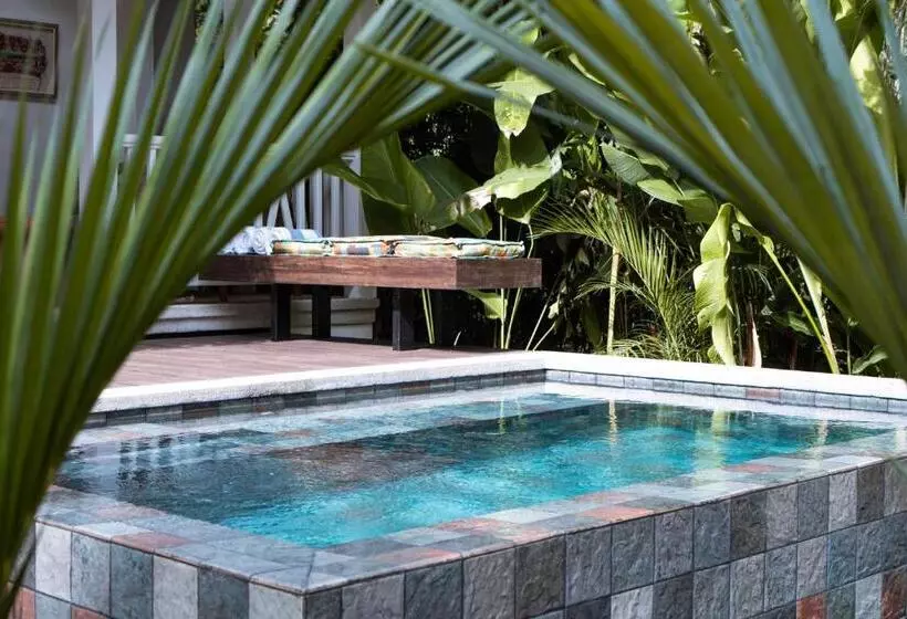 Hotelli Aguas Claras Member Of The Cayuga Collection