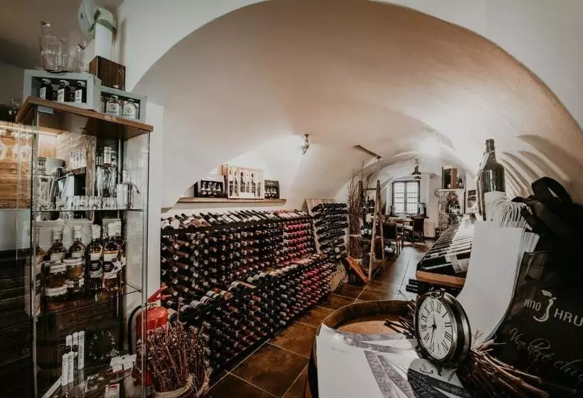 پانسیون Penzion Víno Hruška Pardubice